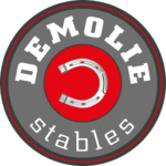 Demolie Stable